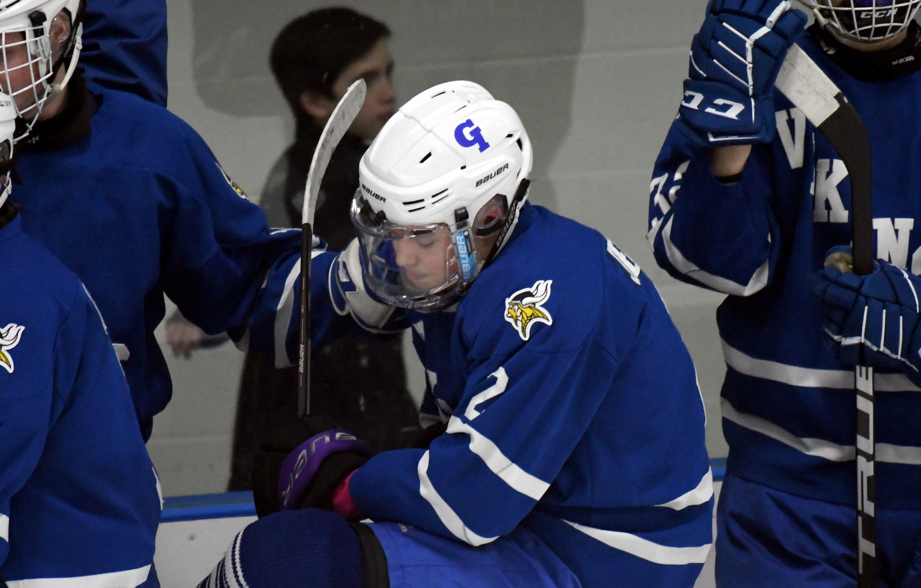 Skaneateles Grand Island 22.JPG